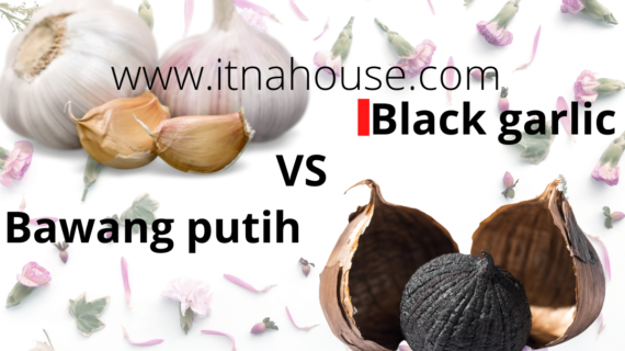 Black Garlic vs. Bawang Putih Biasa: Apa Bedanya?